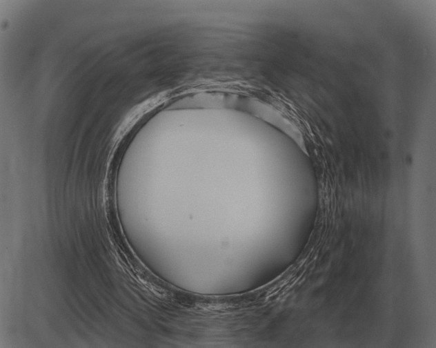 X0000084020340200703161745