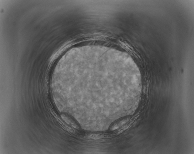 X0000084020341200703161745