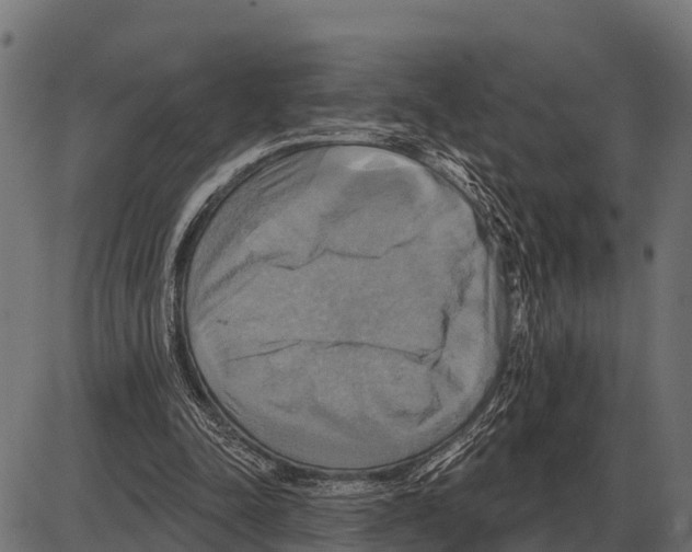 X0000084020342200703161745