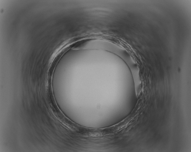 X0000084020344200703161745