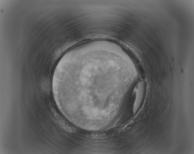 X0000084020345200703161745