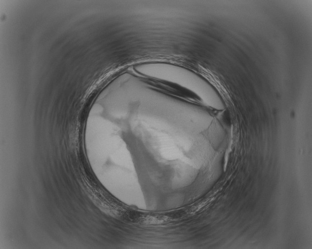 X0000084020346200703161745