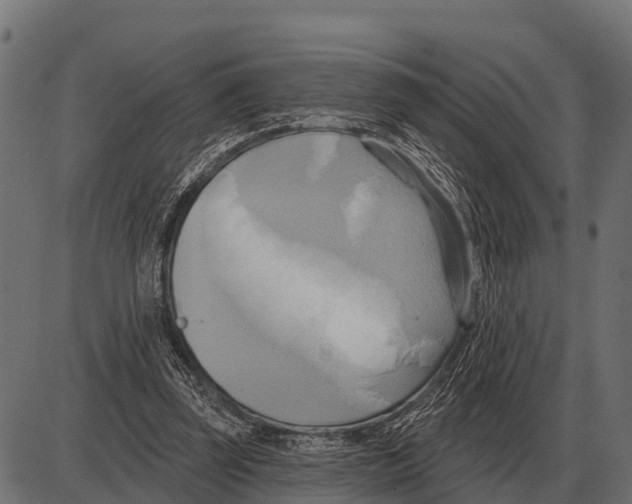 X0000084020347200703161745