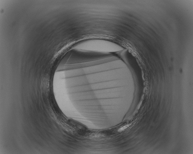 X0000084020348200703161745