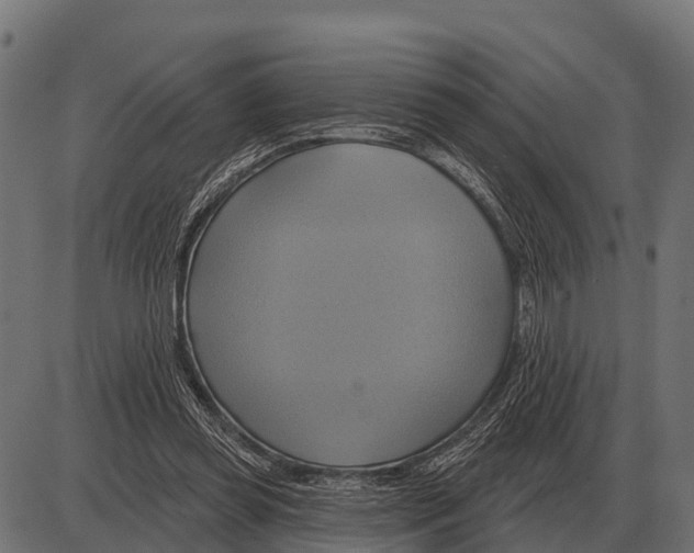 X0000084020349200703161745