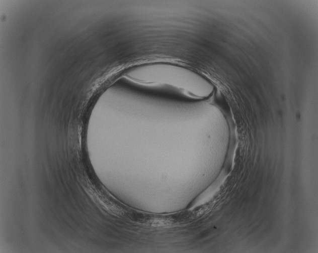 X0000084020350200703161745