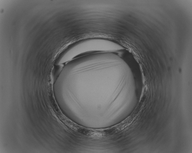 X0000084020352200703161745