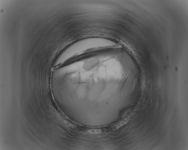 X0000084020353200703161745