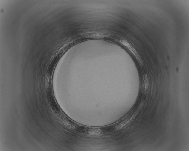 X0000084020355200703161745