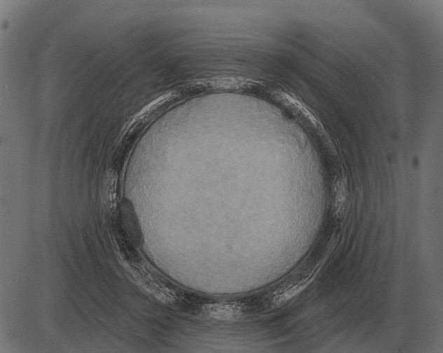 X0000084020356200703161745