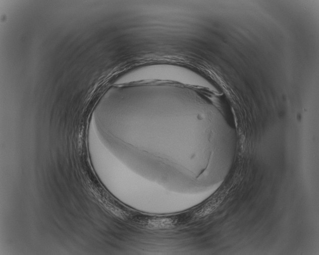 X0000084020357200703161745