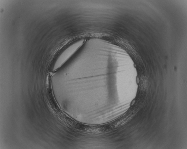 X0000084020358200703161745