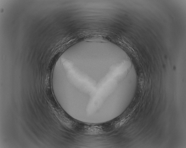 X0000084020359200703161745