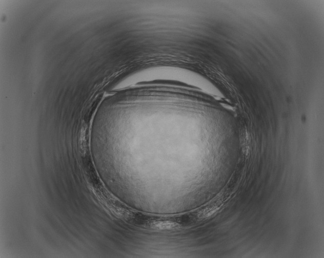 X0000084020360200703161745