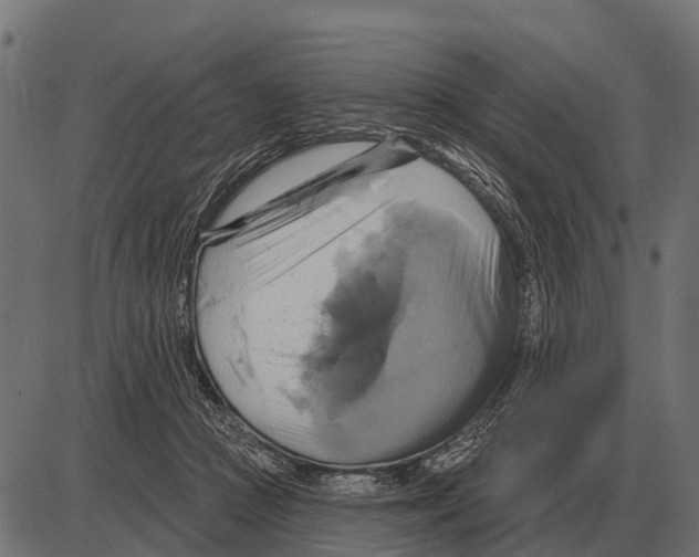 X0000084020361200703161745