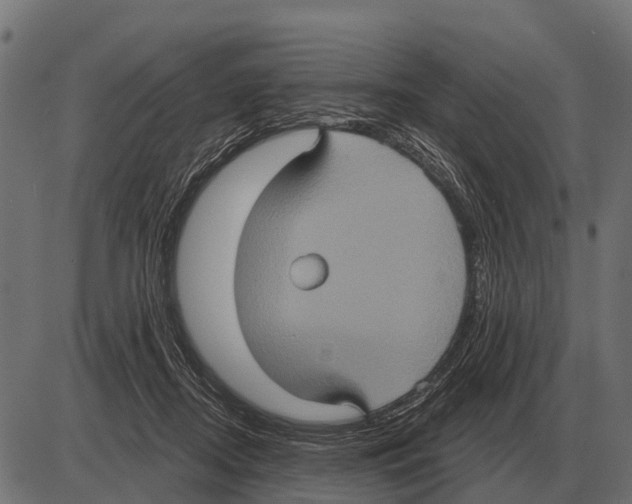 X0000084020362200703161745