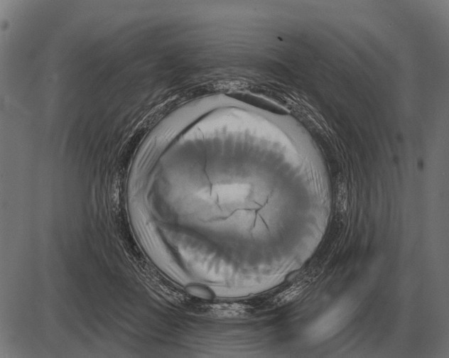 X0000084020363200703161745