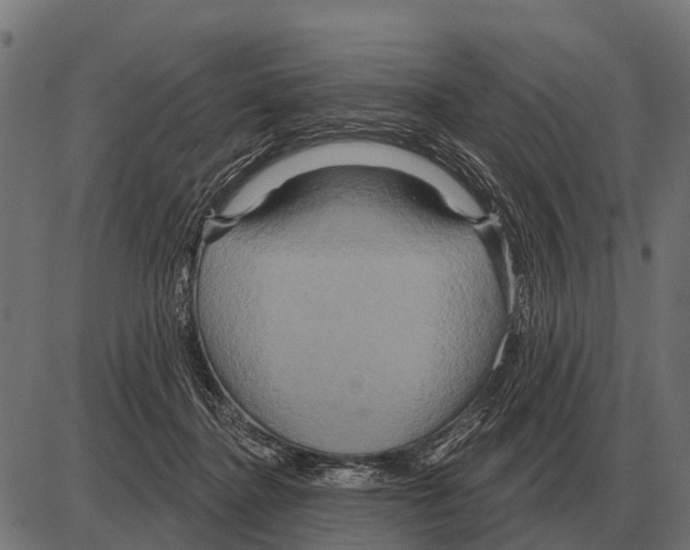 X0000084020364200703161745