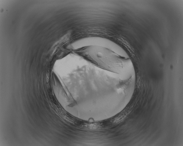 X0000084020365200703161745