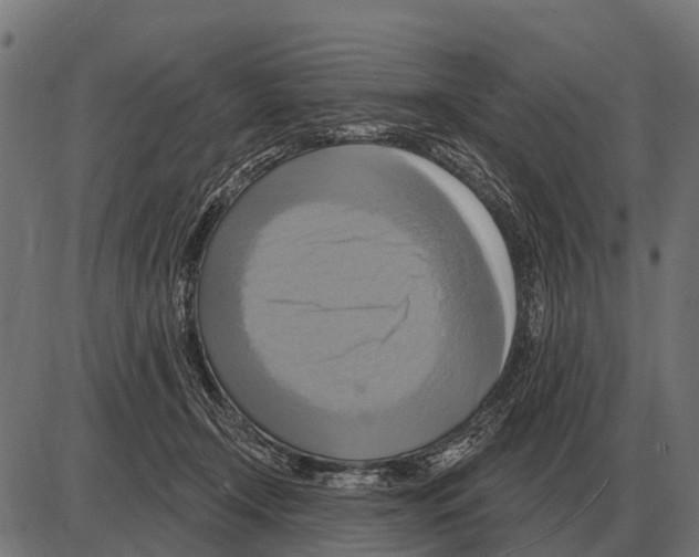 X0000084020366200703161745