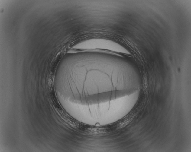 X0000084020367200703161745