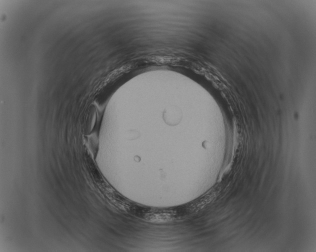 X0000084020368200703161745