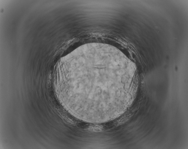 X0000084020369200703161745