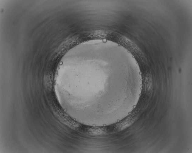 X0000084020370200703161745