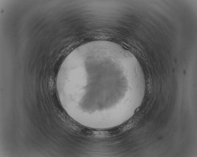 X0000084020371200703161745