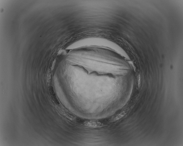 X0000084020372200703161745