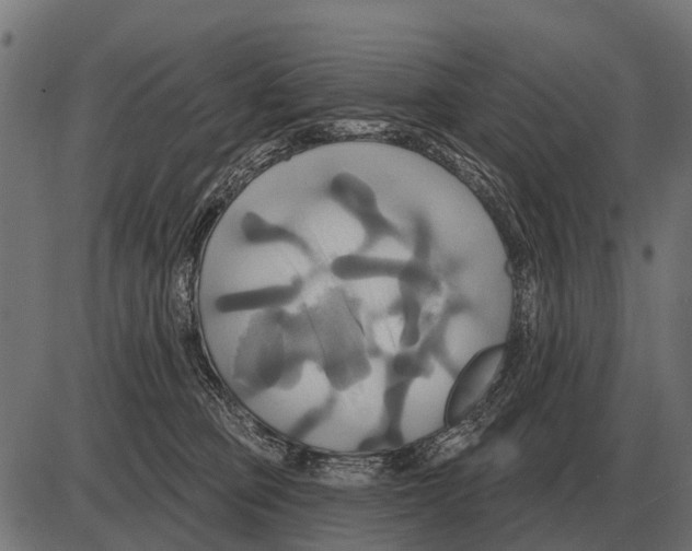 X0000084020373200703161745