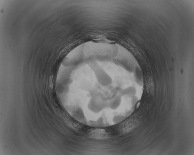 X0000084020374200703161745