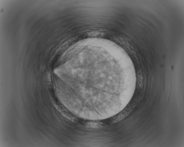 X0000084020375200703161745