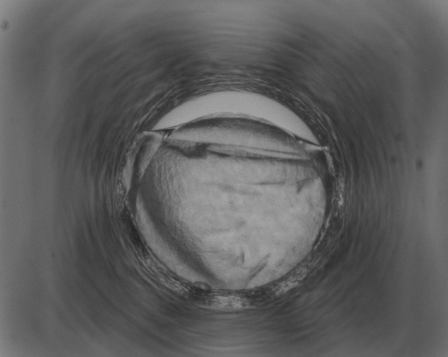 X0000084020376200703161746