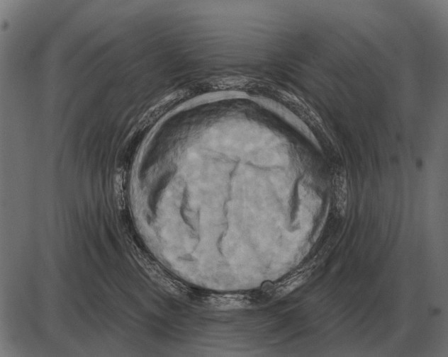 X0000084020378200703161746