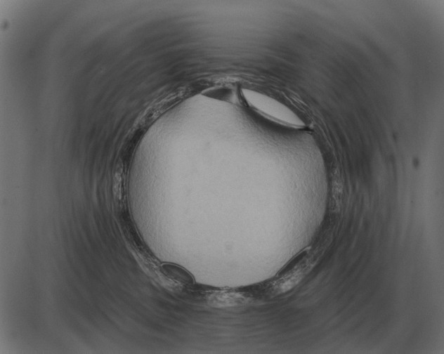 X0000084020379200703161746