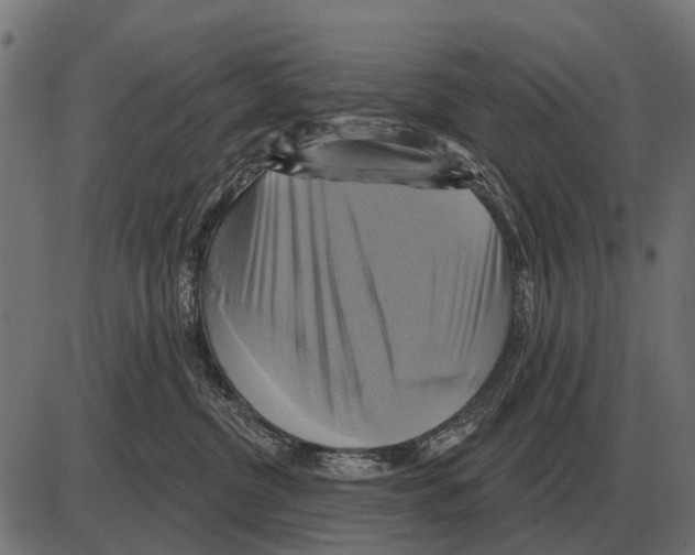 X0000084020380200703161746