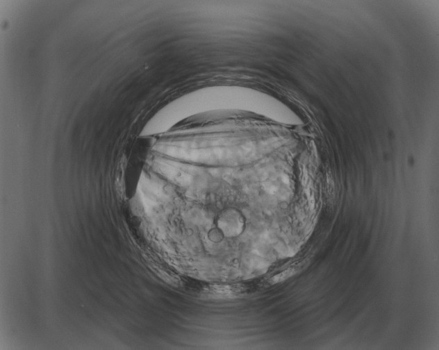 X0000084020381200703161746