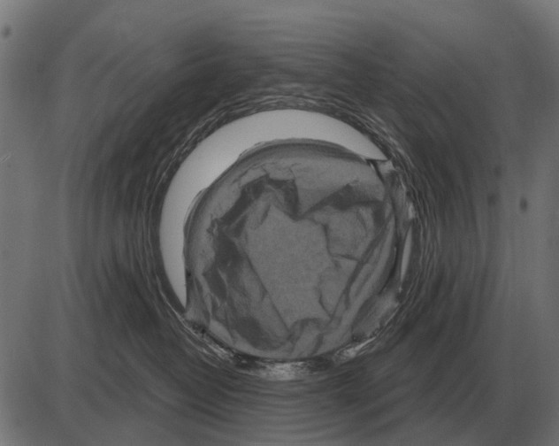 X0000084020382200703161746