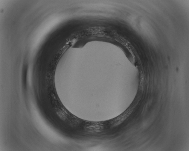 X0000084020383200703161746