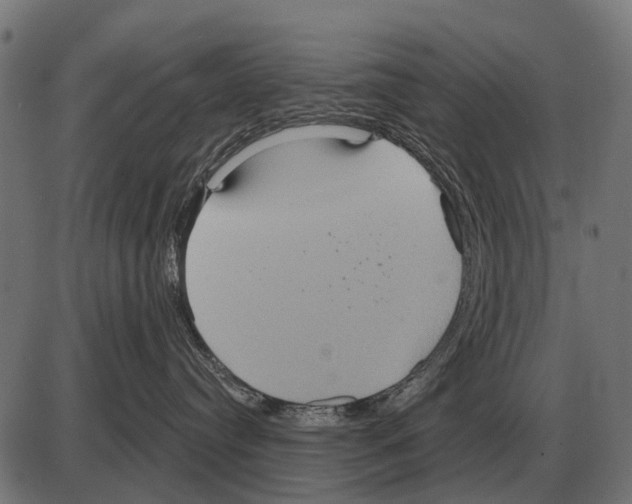 X0000084020384200703161746