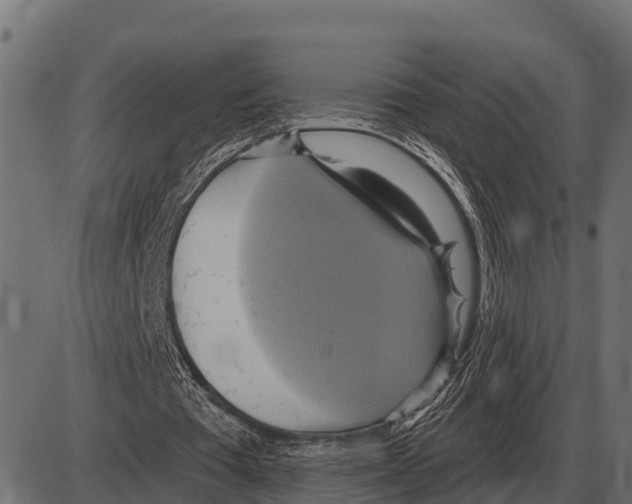 X0000084020385200703161745