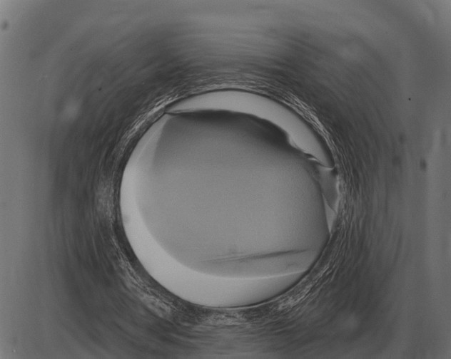 X0000084020386200703161745