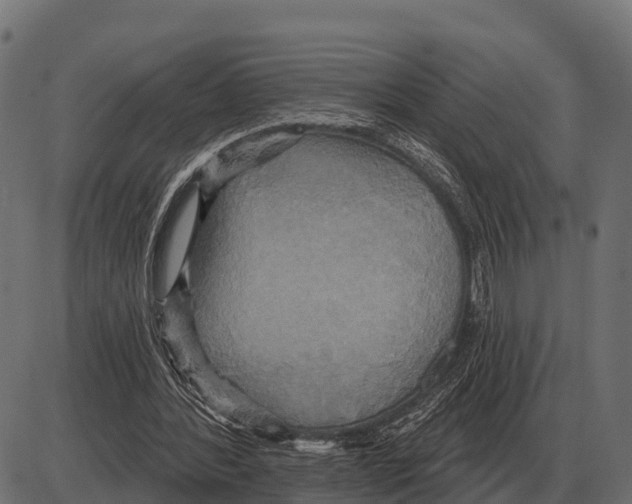 X0000084020388200703161745