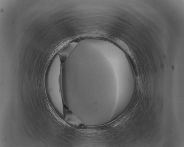 X0000084020389200703161745