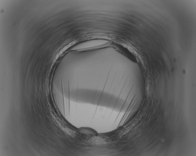 X0000084020390200703161745