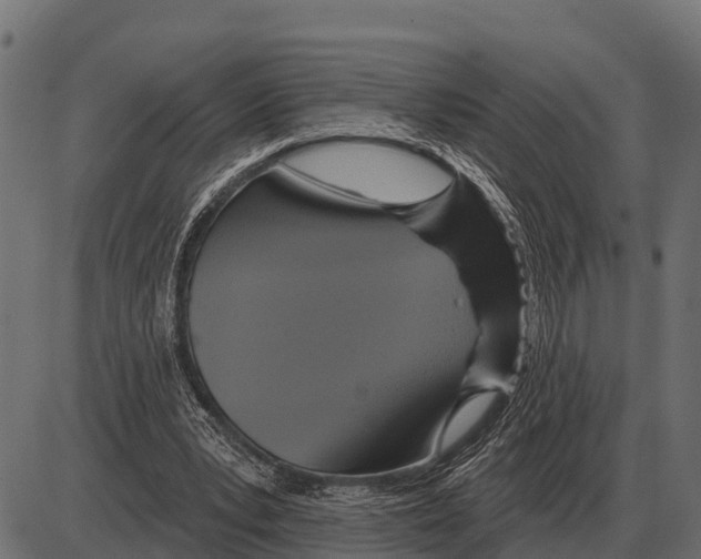 X0000084020391200703161745