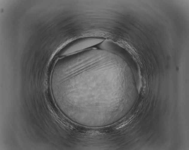 X0000084020392200703161745