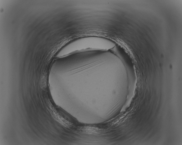 X0000084020393200703161745