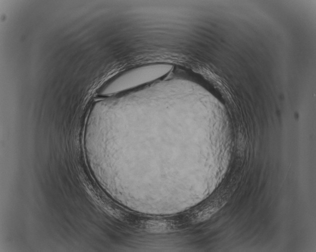 X0000084020394200703161745